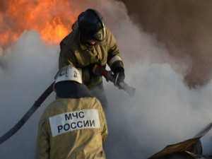 Под Новочеркасском случился крупный ландшафный пожар