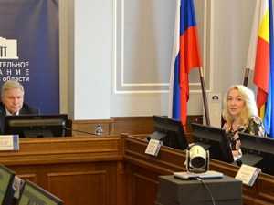 Донские парламентарии обсудили вопросы организации медпомощи пациентам с орфанными заболеваниями