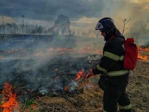 За сутки в Новочеркасске произошло сразу два ландшафтных пожара