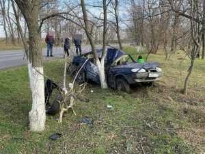 Виновник ДТП под Новочеркасском, в котором погибла его мать, избежал наказания