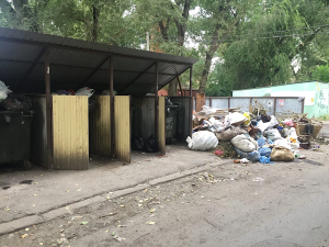 В Новочеркасске жители улицы Петрова пожаловались на свалку