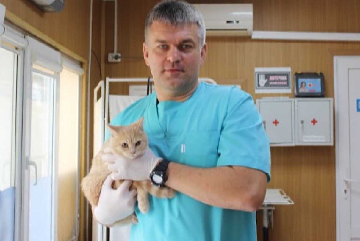 Жители Новочеркасска смогут стерилизовать своих питомцев со скидкой