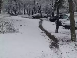 В Новочеркасске на выходных ожидается дождливая погода