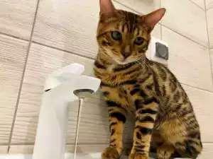 Жители Новочеркасска 5 июня остались без воды