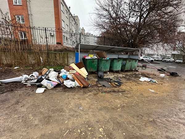 В Новочеркасске за переполненные мусорные баки оштрафовали компанию по вывозу отходов