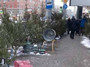 Заработают 30 елочных базаров в донской столице с 1 декабря