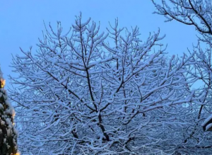 В Ростовской области объявили штормовое предупреждение