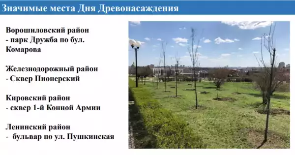 В Ростове состоится любимый для жителей праздник – День древонасаждения