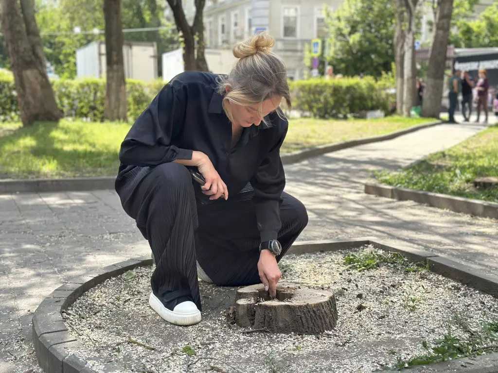 На Пушкинской улице в Ростове специалисты занимаются вырубкой опасных деревьев