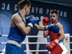 Новочеркасские боксеры стали призерами и победителями Всероссийских соревнований