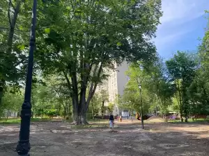 В Ростове-на-Дону началось благоустройство сквера Оганова