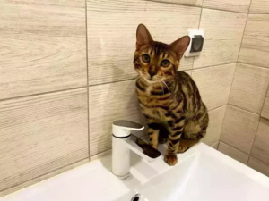 Из-за прорыва на Красноармейской часть Новочеркасска осталось без водоснабжения