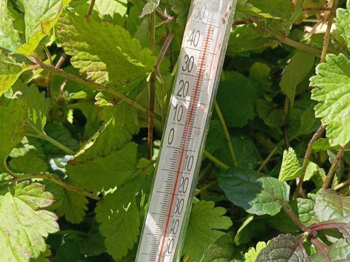 В Новочеркасске объявили экстренное предупреждение из-за жары до +42 градусов