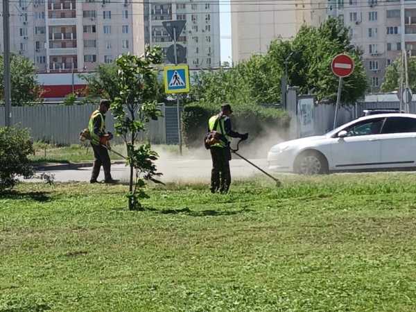 В Ростове убрали более 2,8 тысяч гектаров сорной травы