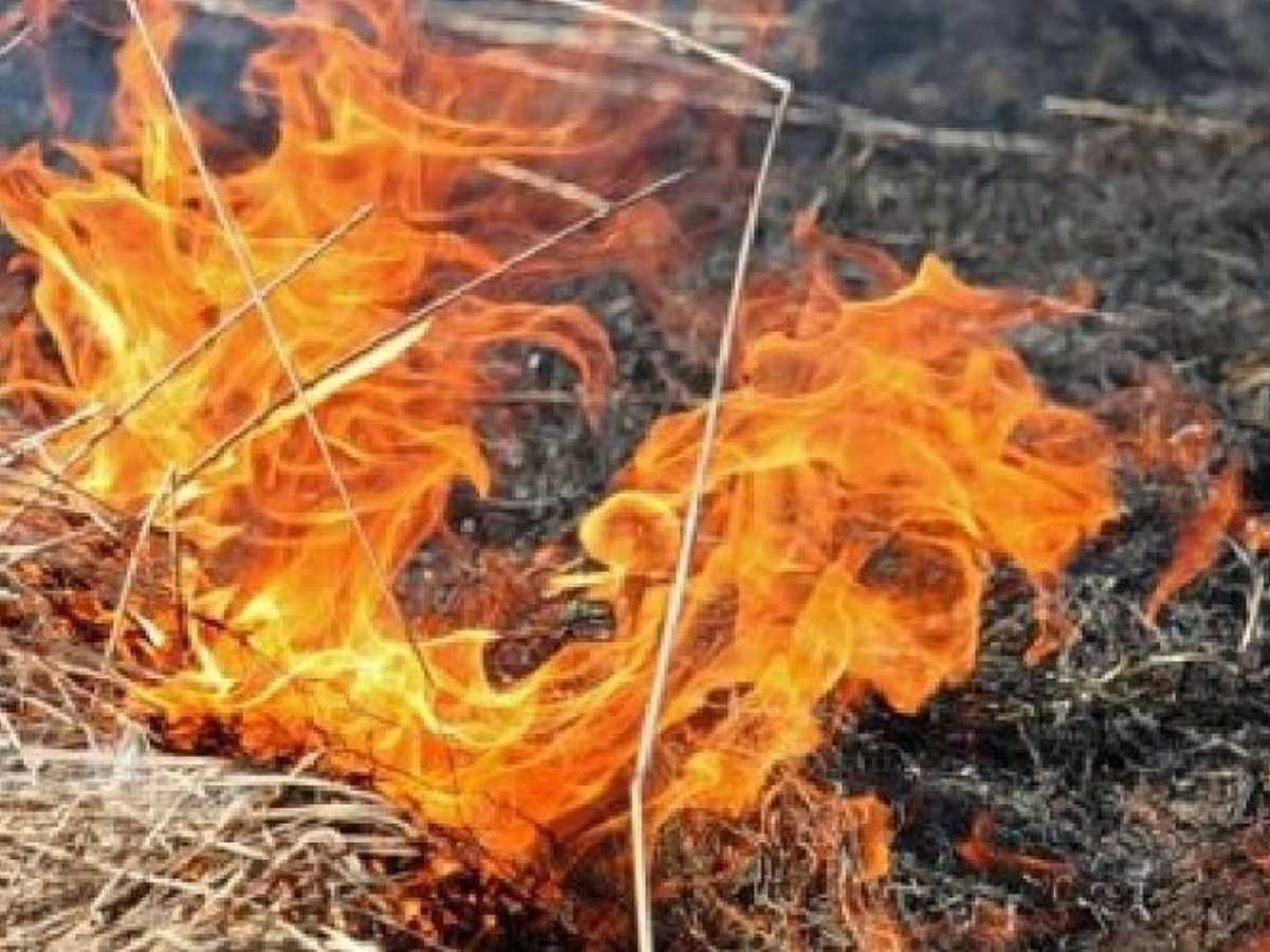Новочеркасские спасатели тушат ландшафтный пожар возле кладбища в Аксайском районе