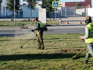 В Ростове убрали более 2,8 тысяч гектаров сорной травы