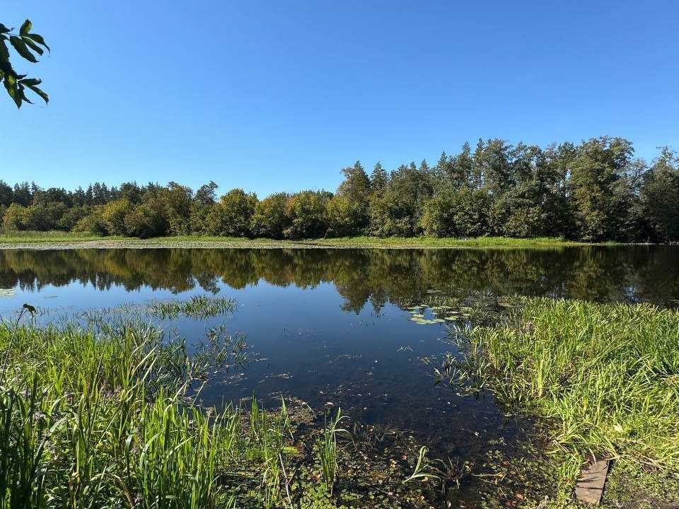 Знойную погоду прогнозируют в Новочеркасске на выходных
