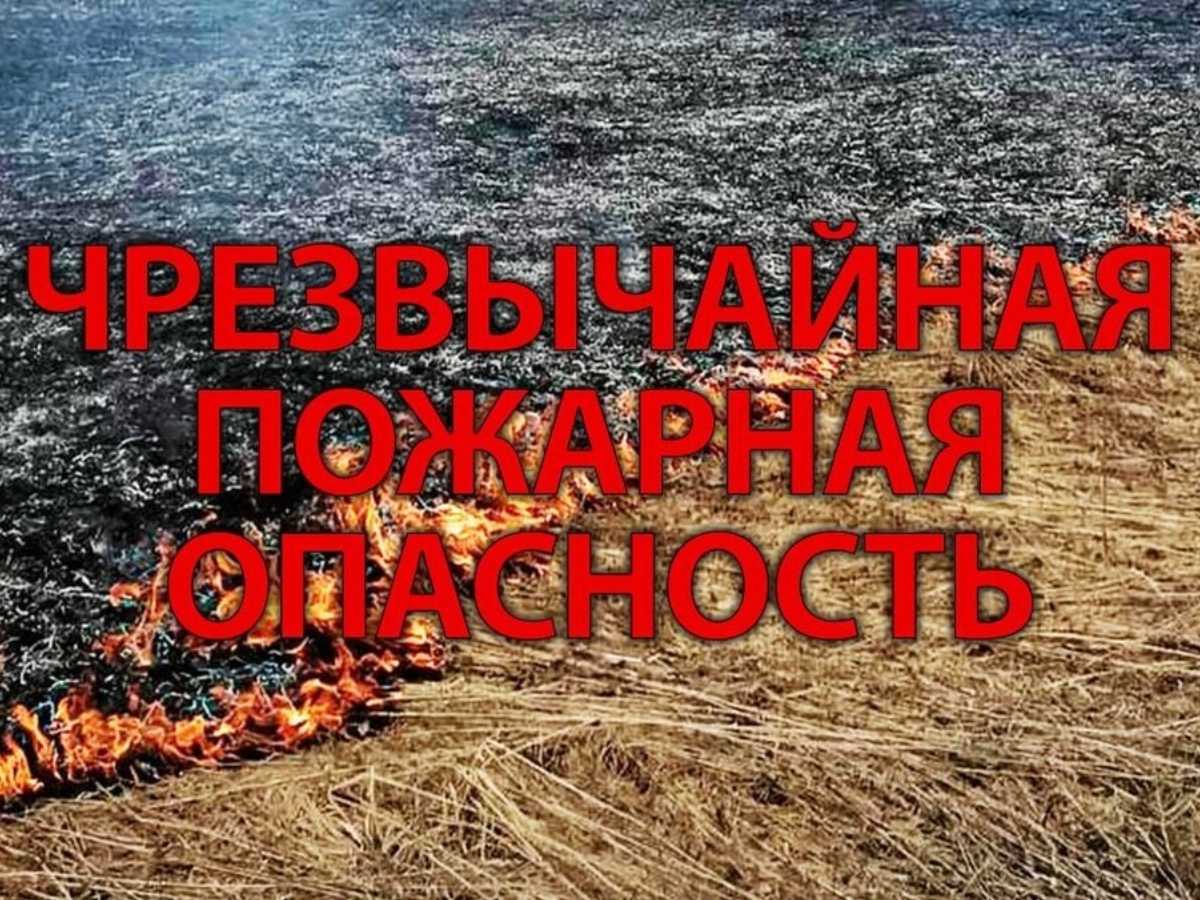 Жителей Новочеркасска предупредили о высокой пожароопасности пятого класса