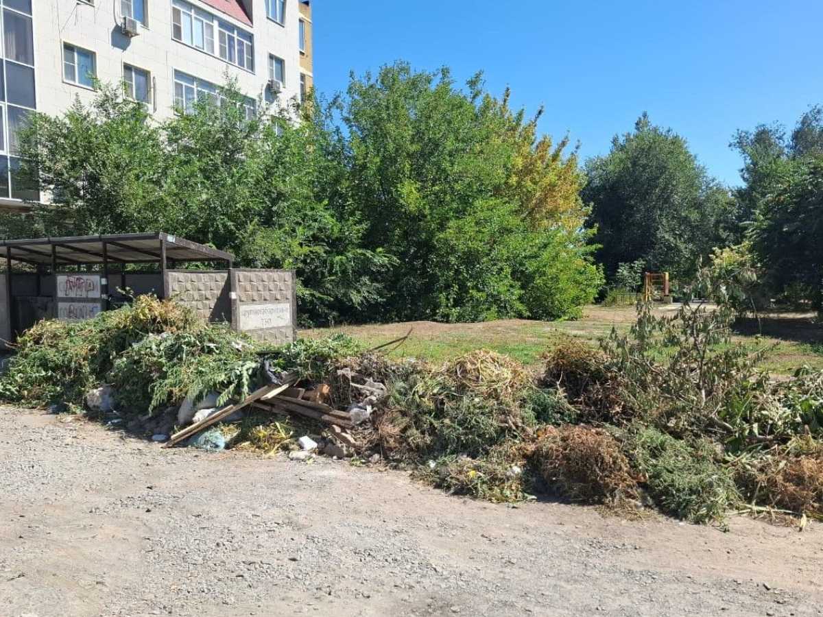 За выброс листвы и веток в мусорные баки жителей Новочеркасска будут штрафовать