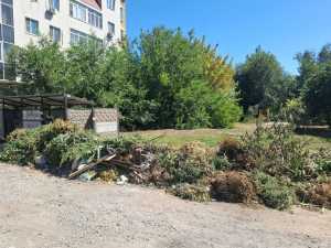 За выброс листвы и веток в мусорные баки жителей Новочеркасска будут штрафовать