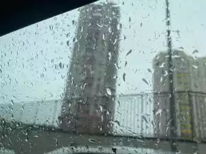 В Новочеркасске на новой рабочей неделе сентября будет дождь