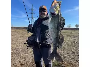 Рыбак из Новочеркасска словил огромного судака весом пяти кило