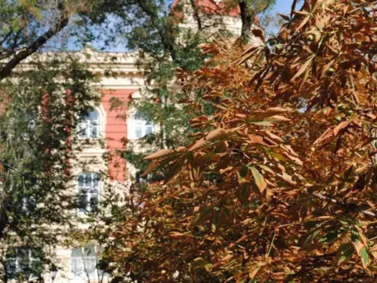 На выходных в Новочеркасске ожидается солнечная и теплая погода