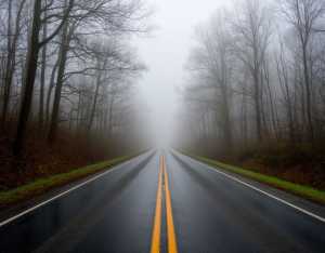 Из-за тумана в Новочеркасске ухудшилась видимость на дорогах