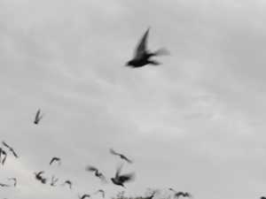 В Ростовской области при атаке дронов погибли три человека