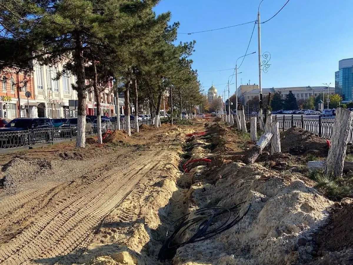 В Новочеркасске на Платовском вместо срубленных деревьев высадят 29 насаждений