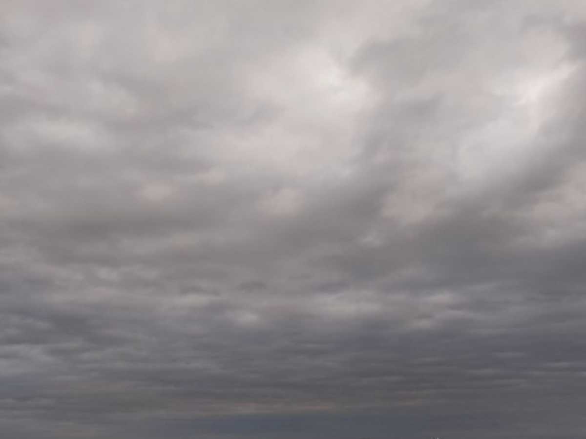 Туман и снегопад ожидается на новой рабочей неделе в Новочеркасске