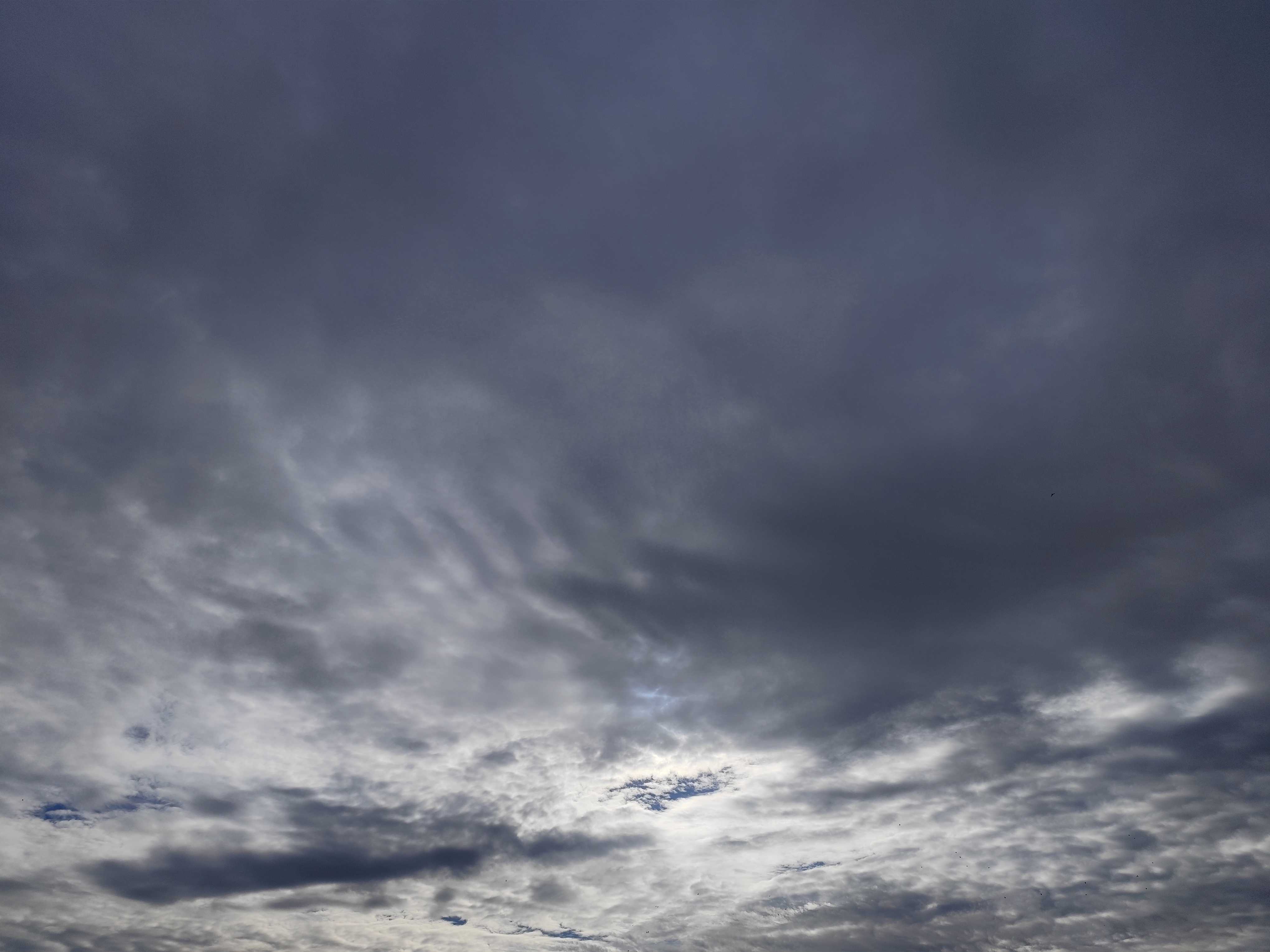 Ночная атака дронов: ПВО сработала над Азовским морем и в регионах