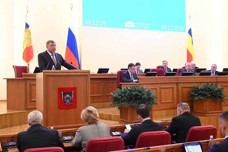 Спикер донского парламента подвел итоги законотворческой работы в 2025 году