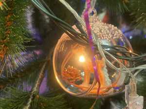 Жителям Новочеркасска рассказали, как новогодние деревья влияют на здоровье