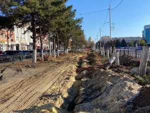 В Новочеркасске на Платовском вместо срубленных деревьев высадят 29 насаждений