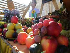В центре Новочеркасска пройдет предновогодняя ярмарка