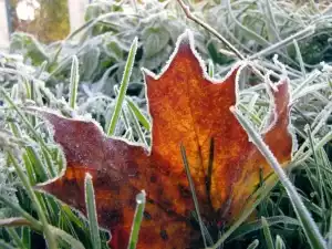 В Новочеркасске в праздничные выходные будут заморозки