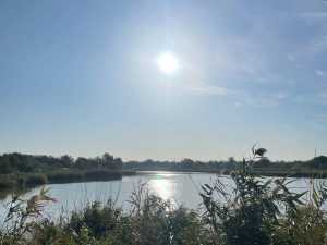 Новые правила рыболовства вступают в силу весной в Ростовской области