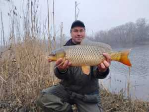 На канале Новочеркасской ГРЭС рыбак поймал 4-килограмовую «золотую рыбку»