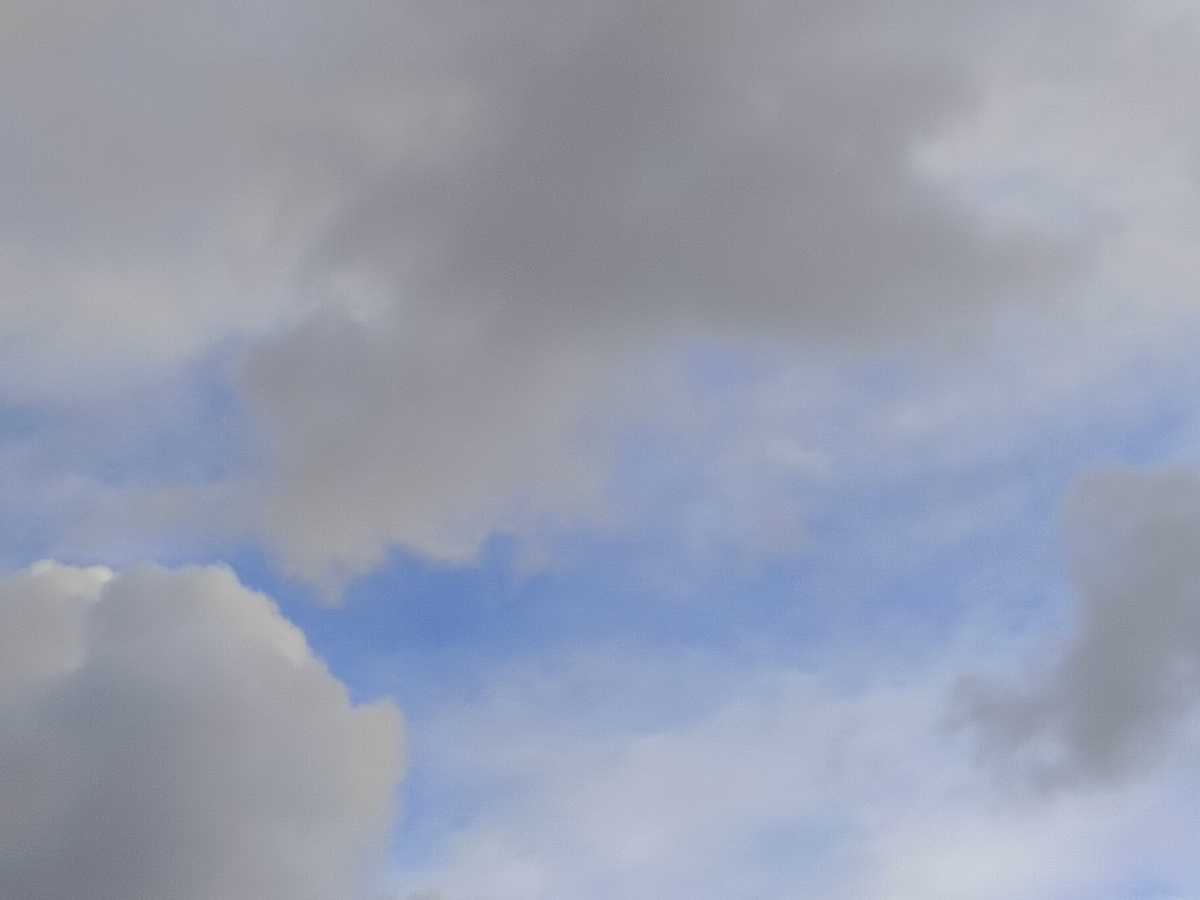 В Новочеркасске на выходных потеплеет до +12 градусов