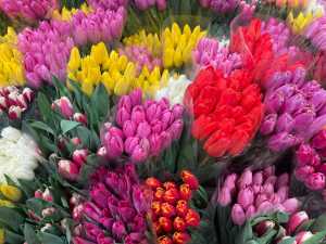 В Новочеркасске на 8 марта температура поднимется до +8 градусов