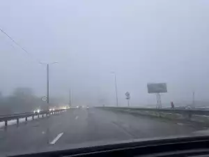 Донских автомобилистов предупредили о густом тумане на дорогах