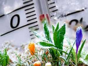 Перед выходными в  Новочеркасске ожидаются заморозки до -3 градусов