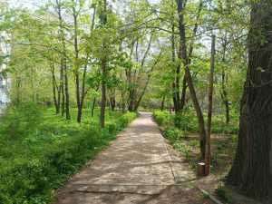 В последние выходные апреля в Новочеркасске потеплеет до +18 градусов