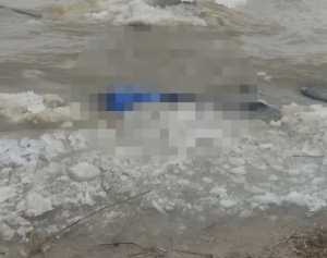 Утонул, пытаясь спасти друга: Под Старочеркасской из воды вытащили мужчину